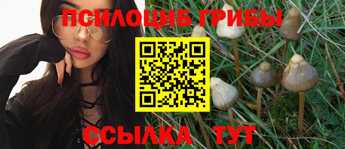 Луховицы  Галлюциногенные грибы прущие грибы  Псилоцибиновые грибы мухоморы  купить наркоту  Вход с VPN 